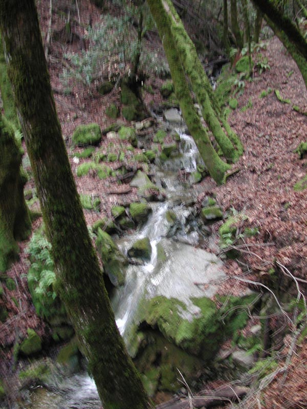 DSCN2211