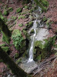 DSCN2212
