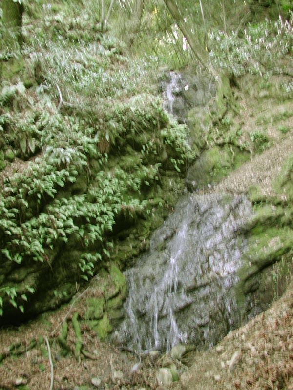 DSCN2242