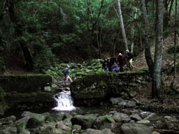 DSCN2224