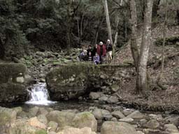 DSCN2226