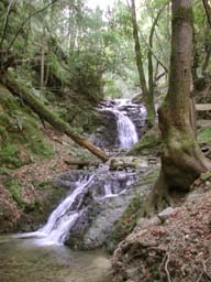 DSCN2238