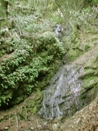 DSCN2242