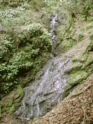 DSCN2244