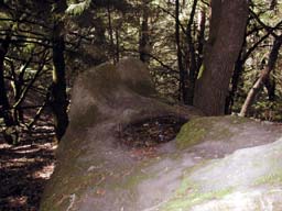DSCN2275A