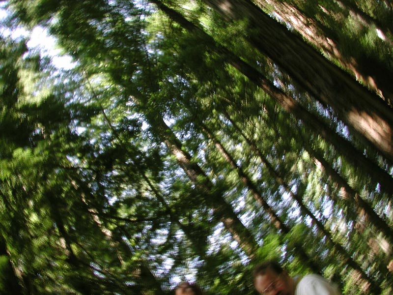 DSCN2377