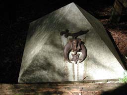 DSCN2364