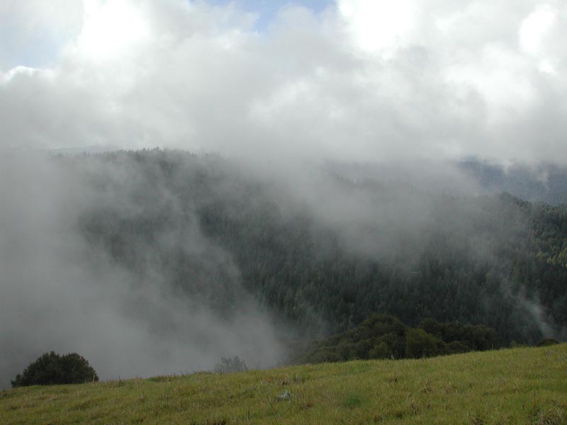DSCN2391