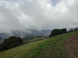 DSCN2392