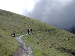 DSCN2397