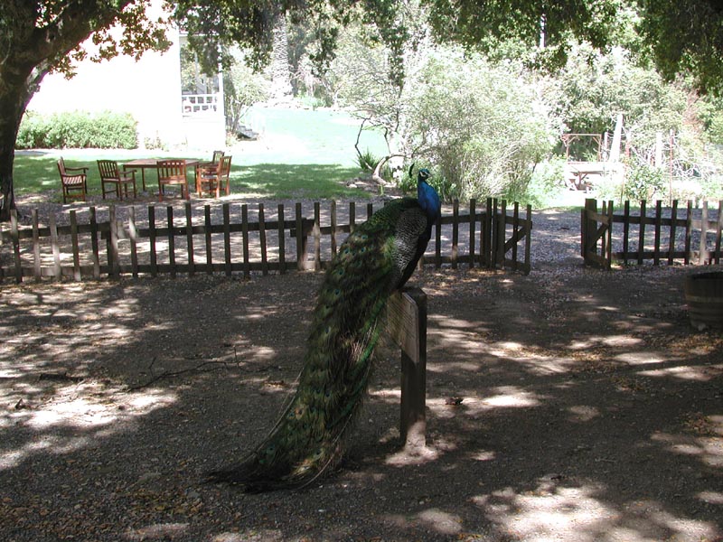 DSCN2468