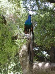 DSCN2466