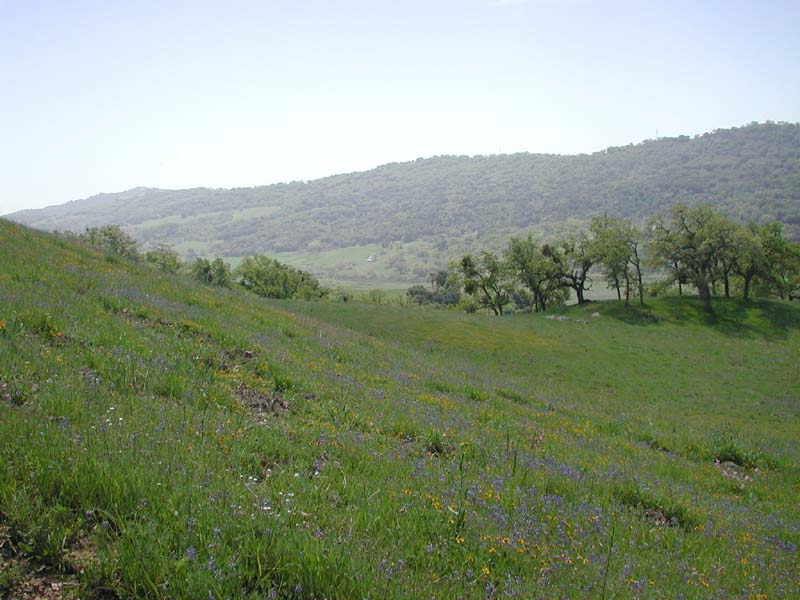 DSCN2500