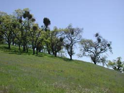 DSCN2494