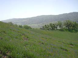 DSCN2500