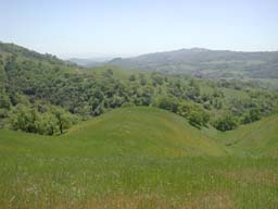 DSCN2501