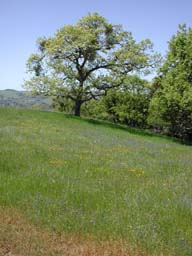 DSCN2502