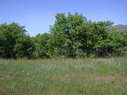 DSCN2506