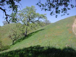 DSCN2509