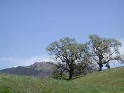 DSCN2517