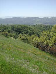 DSCN2518
