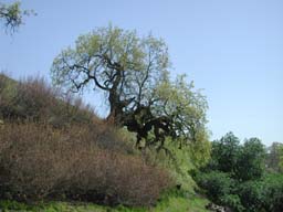 DSCN2520