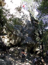 DSCN2541
