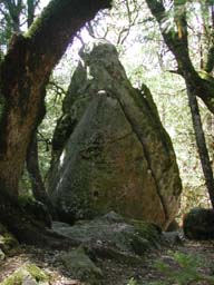 DSCN2547