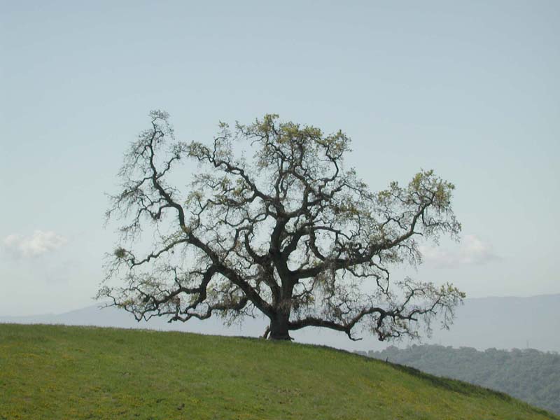 DSCN2587
