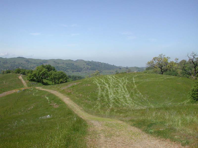 DSCN2595