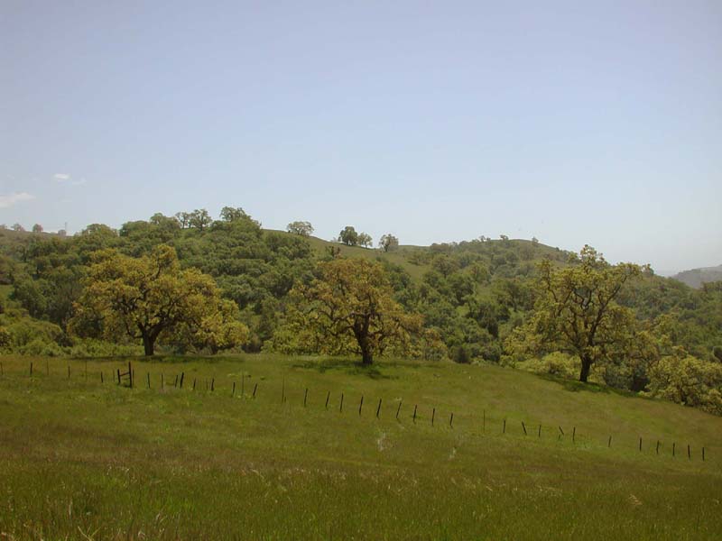 DSCN2596