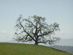 DSCN2587