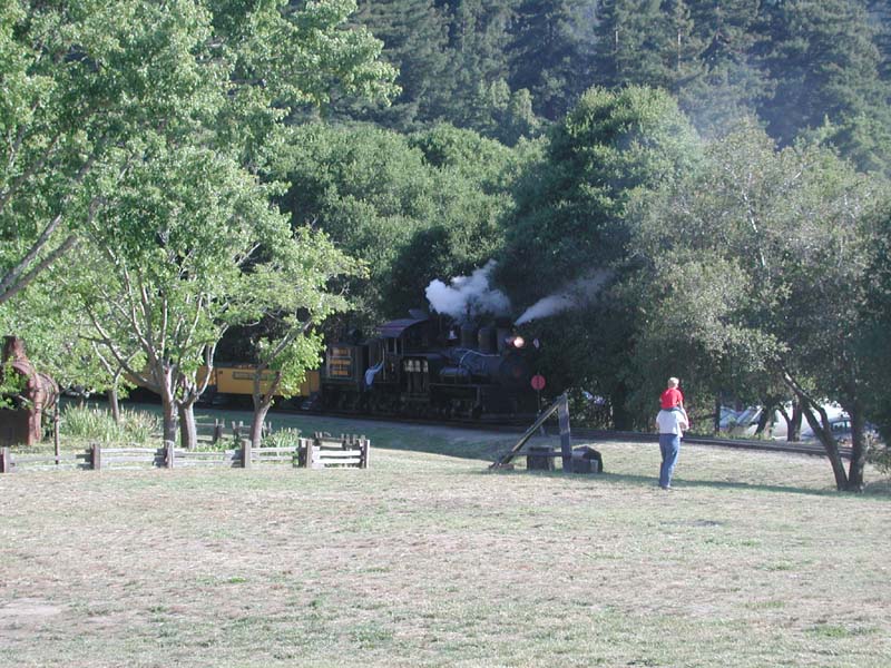 DSCN2949