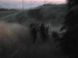 DSCN3003