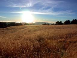 field2