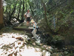DSCN0307