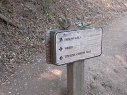 DSCN0310