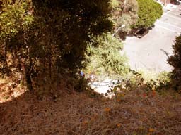 DSCN0025
