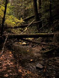 DSCN0022A