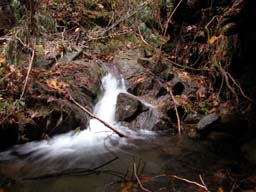 DSCN0026