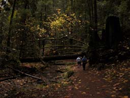DSCN0031A