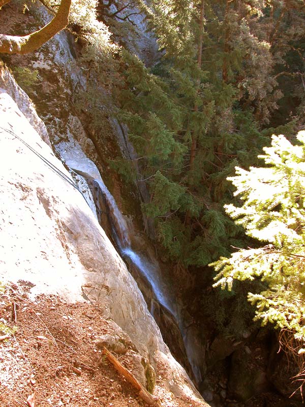 DSCN0471