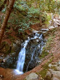 DSCN0556
