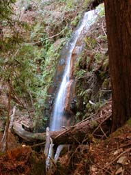 DSCN0629