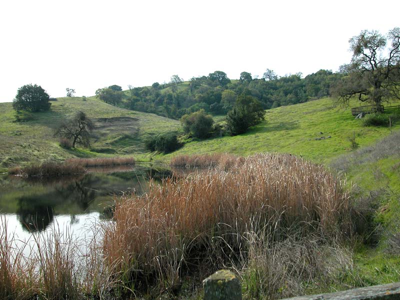 DSCN0652