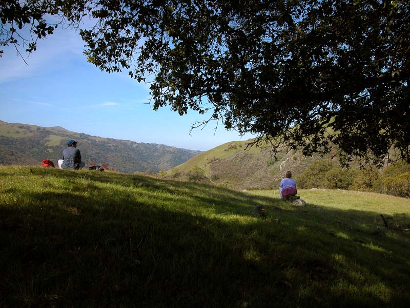 DSCN0035
