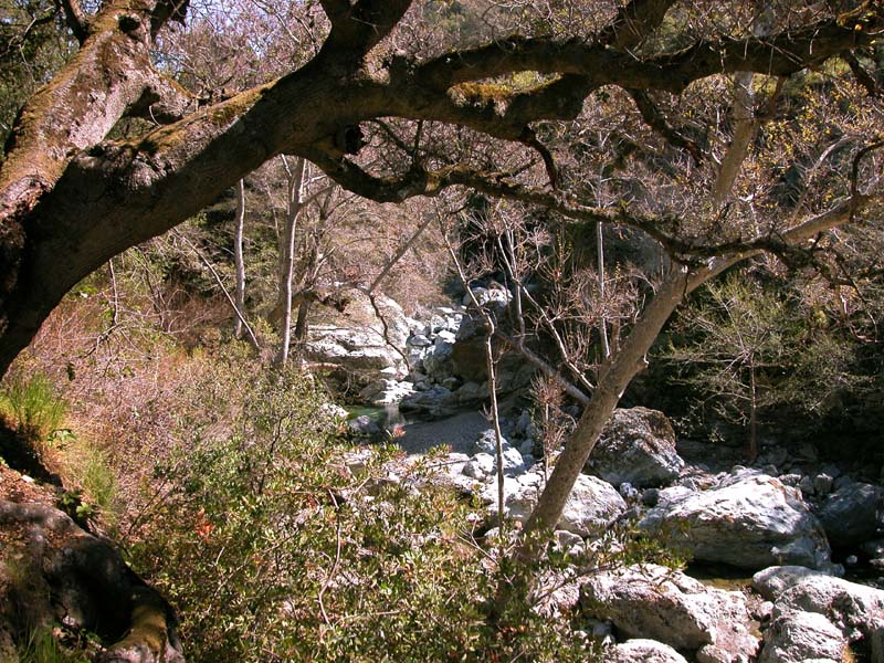 DSCN0053
