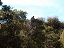 DSCN0021