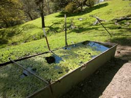 DSCN0048