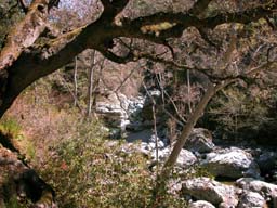 DSCN0053